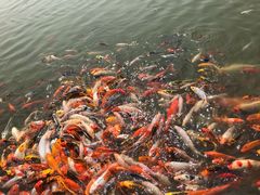 -北戴河圣蓝海洋公园