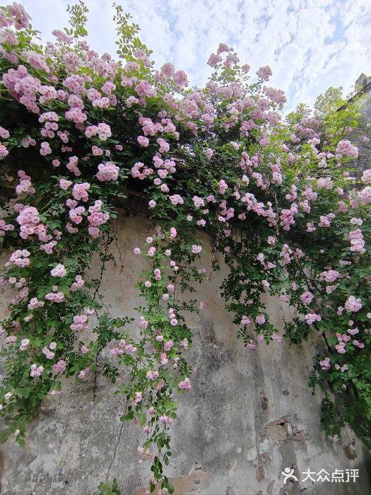 惠山古镇·寄畅园图片