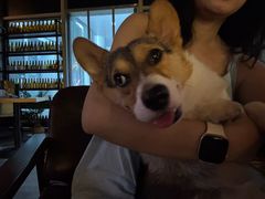 -故遥酒馆.赛事直播