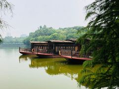 -三水森林公园