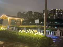 -光明港公园