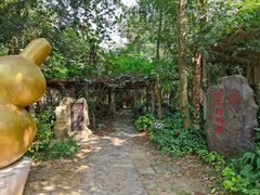 -广西壮族自治区药用植物园