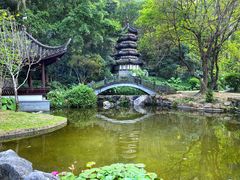 -深圳国际园林花卉博览园