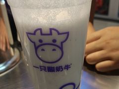 -一只酸奶牛(海珠美食街店)