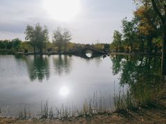 -金塔沙漠胡杨林景区