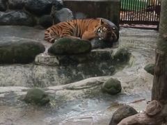 -海南热带野生动植物园