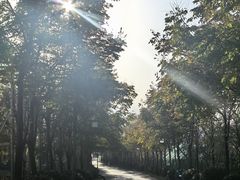 -白鹿原影视城