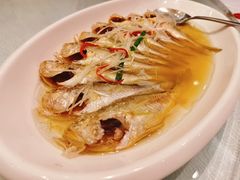 梅子鱼-东方明珠老上海8号餐厅