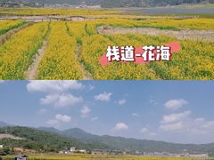 -桤木河湿地公园