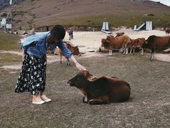 -大姆山草场