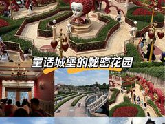 -迪士尼小镇