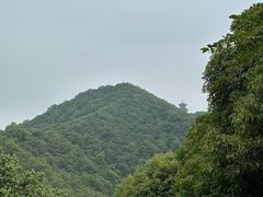 -杭州半山国家森林公园