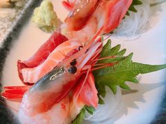 -千代武日本料理(哈西店)