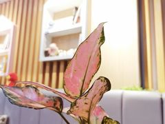 -Ours树朵家亲子餐厅(远策中心店)