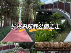 -上海长兴岛郊野公园
