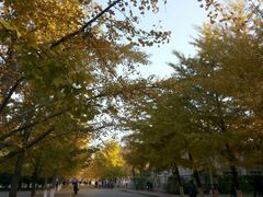 -辽宁大学(崇山校区)