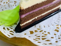 -猫房·猫吧·猫咖(龙湖时代汇店)