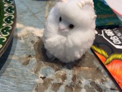 -哈啾嗨·新概念蒙餐(红星新城店)