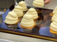-狐狸和向日葵(北京路店)