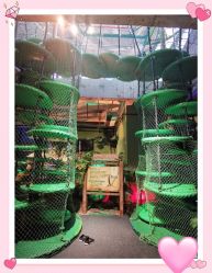 -恐龙探索乐园(磁器口店)