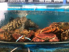 -望海潮海鲜店 特色家常菜(在海一方店)