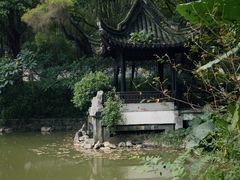 -深圳国际园林花卉博览园