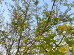 -中央广播电视总台(光华路办公区)