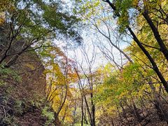 -玉渡山自然风景区