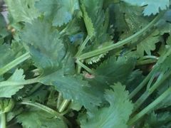 -城一锅涮烤羊蝎子·烤串