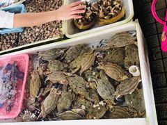 -南沙十九涌渔人码头-南门