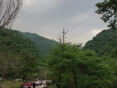 -牛背梁国家森林公园