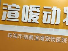 -渲嗳动物医院(异宠·复杂内科转诊中心·玖洲道富华里分院)