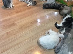 -乐宠宠物店(世纪金源店)