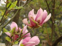 -广东外语外贸大学(白云山校区)