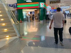 -达拉斯 沃斯堡国际机场