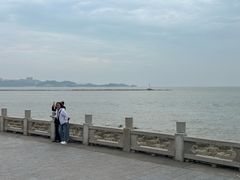 -野狸岛