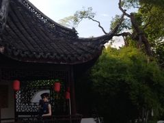 -上海醉白池公园
