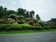 -南京银杏湖乐园