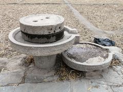-海淀公园