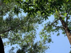 -火炉山森林公园