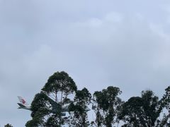 -空港花田景区