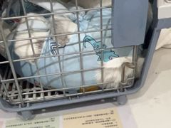 -伟伟宠物医院·CT影像中心·瑞派犬猫综合性门诊(汉口总院)