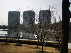 -南翔镇银翔湖公园