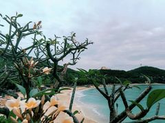 -海角轩·三亚文华东方酒店