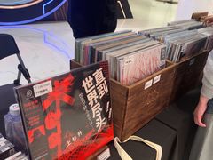 -浣熊唱片店(上海影城店)