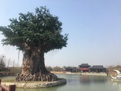 -东台西溪天仙缘景区