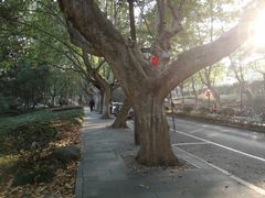 -浙江大学(玉泉校区)