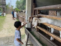-乌村