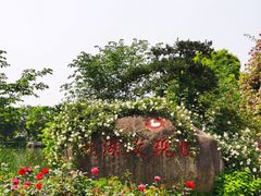 -鹅湖玫瑰文化园