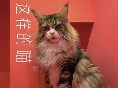 -家利美食店